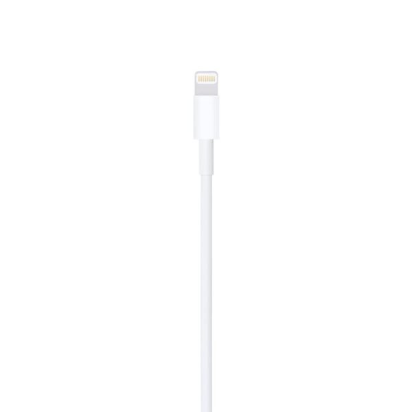 125270cfb0db33b39e70474d6ca34e7c Apple Lightning to USB Cable (1m)