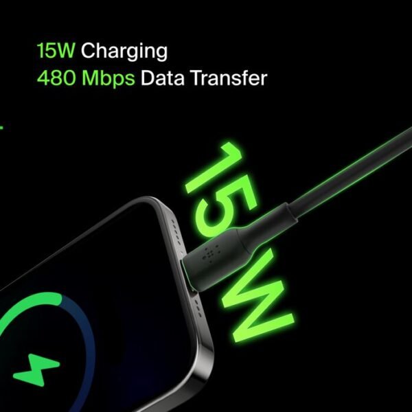 Belkin Boost Up USB C to USB A Cable (3m)